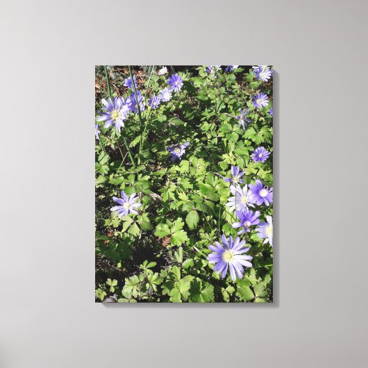Veel bloemen canvas afdruk (Voorkant)