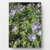 Veel bloemen fotoplaat (voorkant)