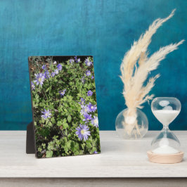 Veel bloemen fotoplaat