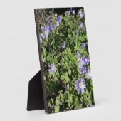 Veel bloemen fotoplaat (Zijkant)