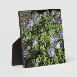 Veel bloemen fotoplaat