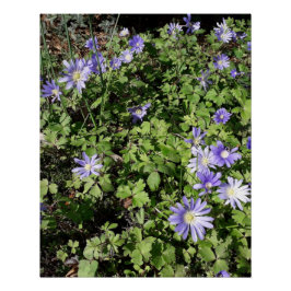 Veel bloemen perfect poster