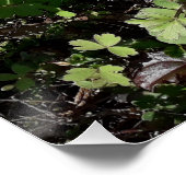 Veel bloemen perfect poster (Hoek)