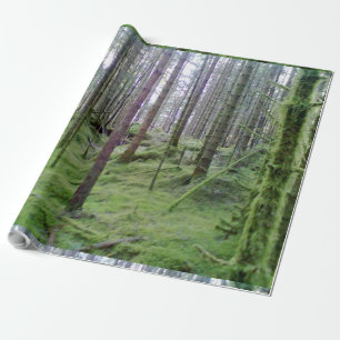 Veel bomen in het bos cadeaupapier