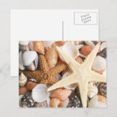 Veel Colorful Seashells Briefkaart (Voorkant / Achterkant)