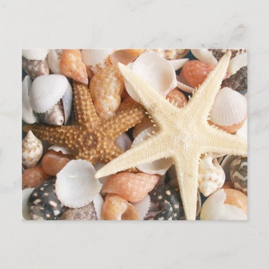 Veel Colorful Seashells Briefkaart (Voorkant)