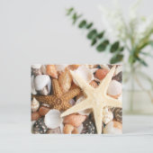 Veel Colorful Seashells Briefkaart (Staand voorkant)