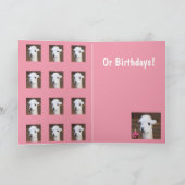Veel Cute Llamas Birthday Kaart (Binnen)