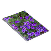 Veel donkerpaarse phiox bloemen notitieboek (Rechterzijde)