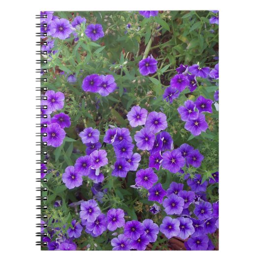 Veel donkerpaarse phiox bloemen notitieboek (Voorkant)