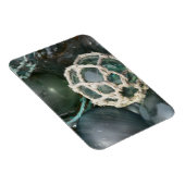 Veel glazen drijvers, Alaska Magneet (Rechterzijde)