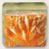 Veel goudvis in de glazen container bier onderzetter (Voorkant)