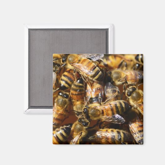 Veel honingbijen magneet (Voorkant / Achterkant)