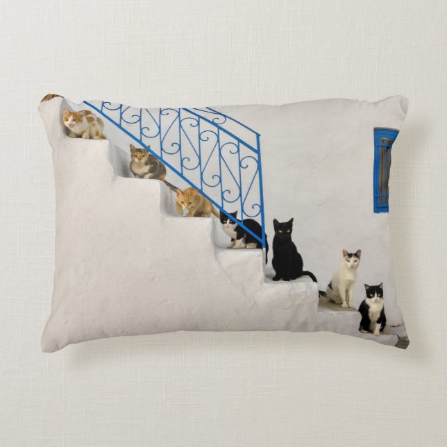 Veel katten op een witte trap in een Grieks dorp Accent Kussen (Voorkant)