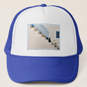 Veel katten op een witte trap in een Grieks dorp Trucker Pet