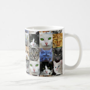 Veel Kittens Kattenliefhebbers Koffiemok