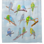 Veel kleurrijke paraketten - schattige kleine voge douchegordijn (Voorkant)