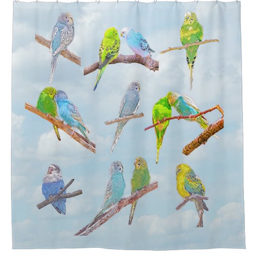 Veel kleurrijke paraketten - schattige kleine voge douchegordijn (Voorkant)