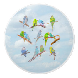 Veel kleurrijke paraketten - schattige kleine voge keramische knop