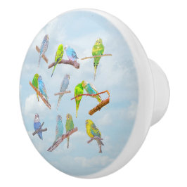 Veel kleurrijke paraketten - schattige kleine voge keramische knop