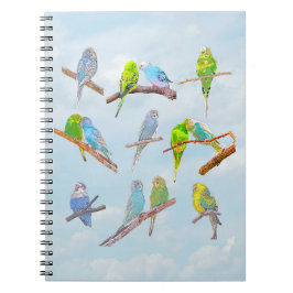 Veel kleurrijke paraketten - schattige kleine voge notitieboek