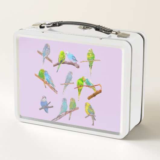 Veel kleurrijke parkieten (Achterkant)