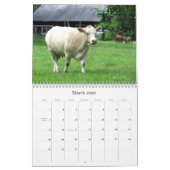 Veel koeien en een beetje bull te kalender (Mar 2026)