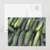 Veel komkommers te koop briefkaart (Voorkant / Achterkant)