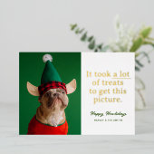 Veel lekkers Fijne Howlidays Grappig huisdier Folie Feestdagenkaart (Staand Voorkant)