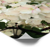 Veel lenteskrabappelbloesems poster (Hoek)