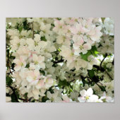 Veel lenteskrabappelbloesems poster (Voorkant)