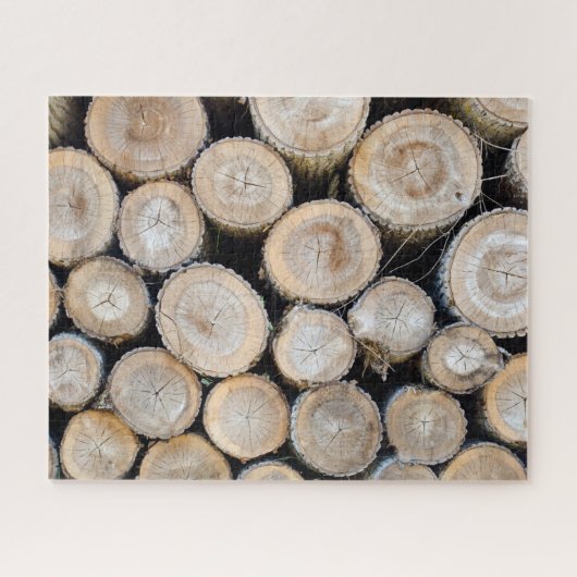 veel logboeken legpuzzel (Horizontaal)