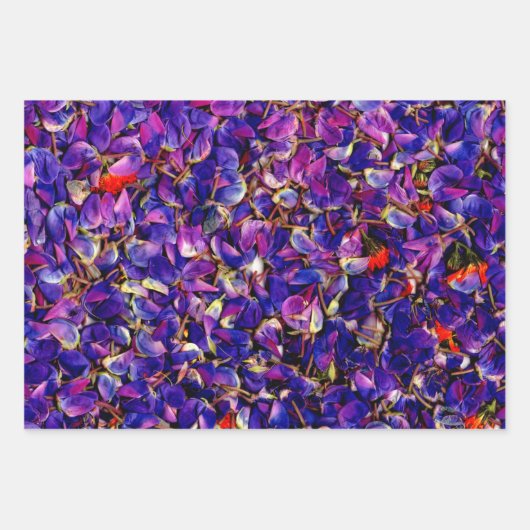 Veel Lupine Petals Inpakpapier Vel (Voorkant)