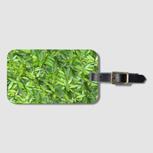 Veel mooie groene bladeren bagagelabel (Voorkant (horizontaal))