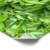 Veel mooie groene bladeren perfect poster (Hoek)