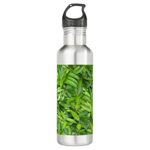 Veel mooie groene bladeren   waterfles 