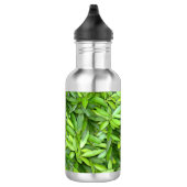 Veel mooie groene bladeren   waterfles  (Rechts)