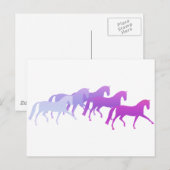 Veel paarden (appels) briefkaart (Voorkant / Achterkant)