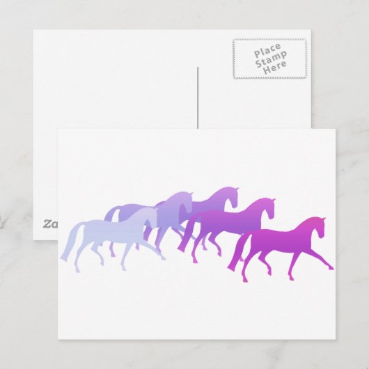 Veel paarden (appels) briefkaart (Voorkant / Achterkant)