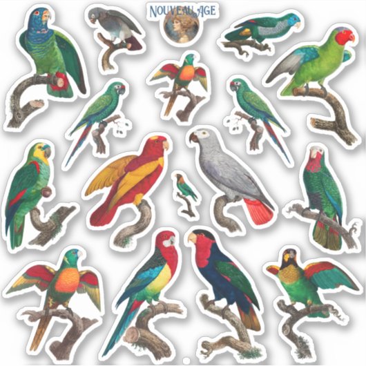 Veel papegaaien Kleurrijke Vogels Sticker Sheet (Voorkant)