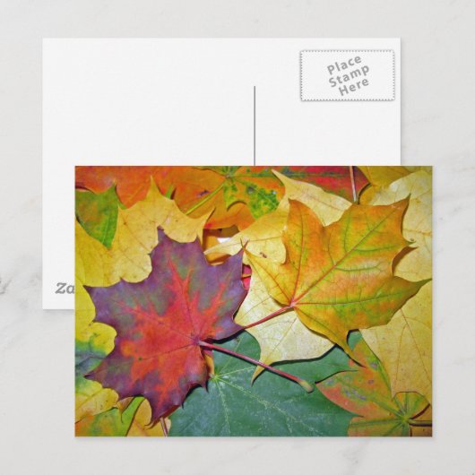 Veel plezier om samen te zijn briefkaart (Voorkant / Achterkant)