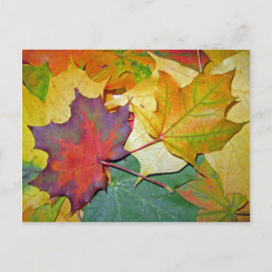 Veel plezier om samen te zijn briefkaart