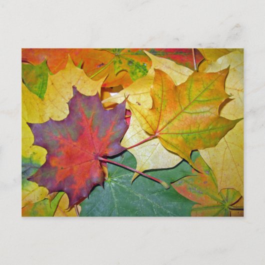 Veel plezier om samen te zijn briefkaart (Voorkant)