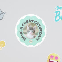 Veel plezier op zaterdag! Turquoise aangepaste kat