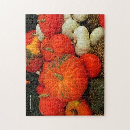 Veel pompoenen legpuzzel (Verticaal)