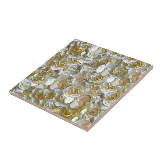 Veel prachtige bladen van roos tegeltje (Zijkant)