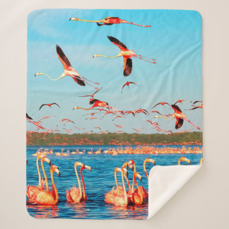 Veel roze mooie vlammen in een mooi blauw sherpa deken