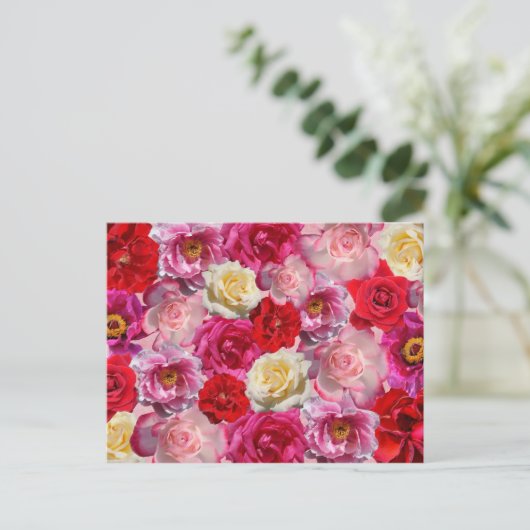 veel rozen briefkaart (Staand voorkant)
