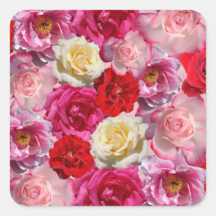 Veel rozen stickers
