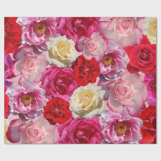 veel rozen verpakkingspapier cadeaupapier (Vlak)